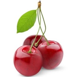 Cerise
