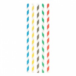 Pailles en papier multicolores (0,8cm)