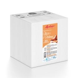 Mix glace Caramel Bib 5 L laiterie de Montaigu
